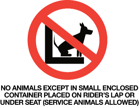 No animals except in small enclosed container placed on rider's lap or under seat (service animals allowed)
